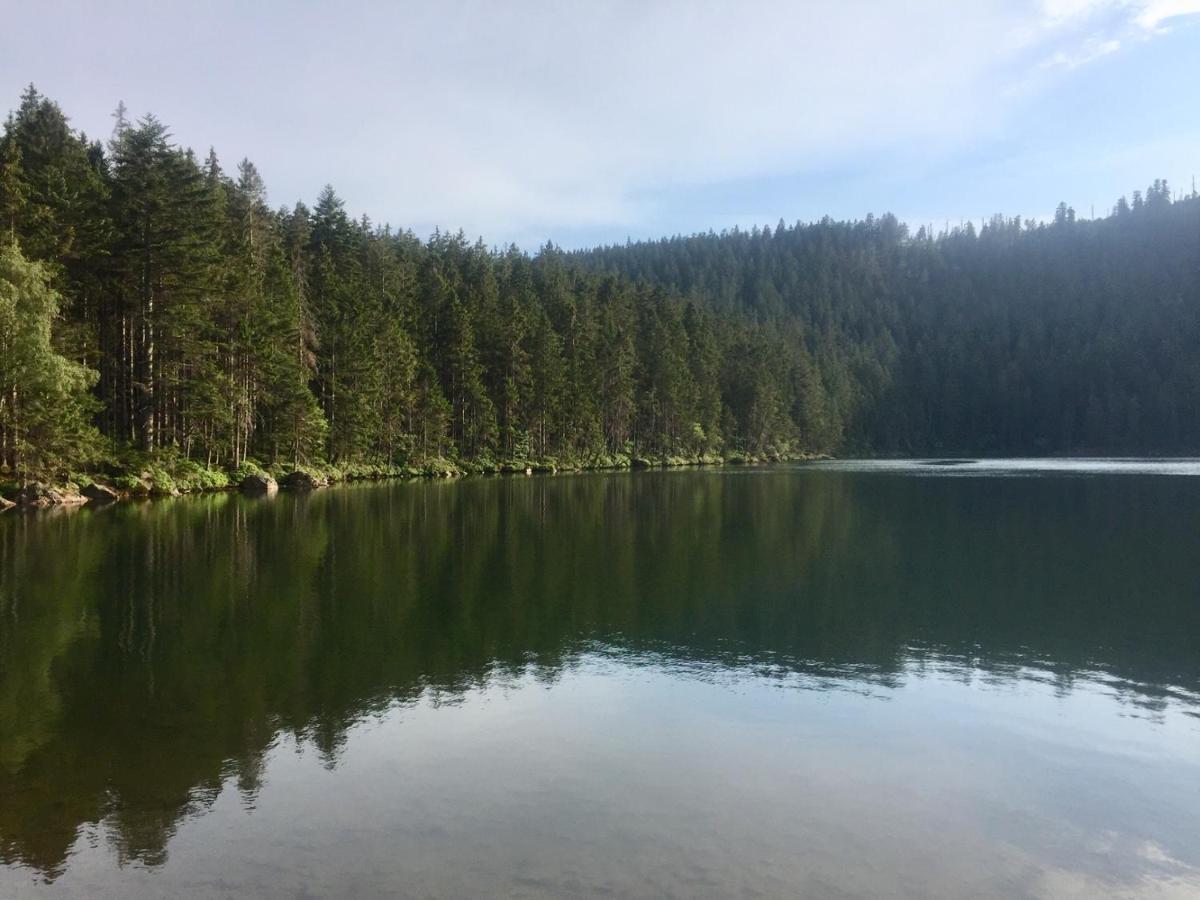 Apartman “U Nas V Podkrovi“ V Rezidenci Klostermann, Zelezna Ruda 24 Екстер'єр фото