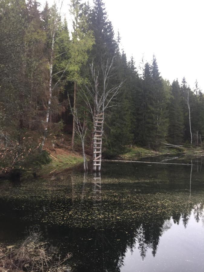 Apartman “U Nas V Podkrovi“ V Rezidenci Klostermann, Zelezna Ruda 24 Екстер'єр фото