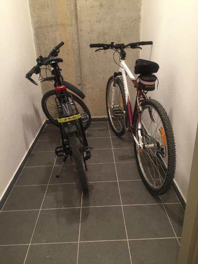 Apartman “U Nas V Podkrovi“ V Rezidenci Klostermann, Zelezna Ruda 24 Екстер'єр фото